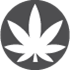 Login icon
